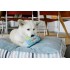 Play- Pup Cup - Giocattoli per cani - Macarons