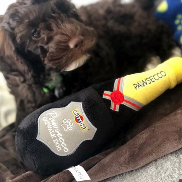 BO - Toy for Dogs - Pawsecco