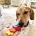 Dolci Impronte® Peace Love Paws - 150gr