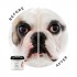 Eye Envy - Bulldog Wrinkle Wipes  - 60 Dischetti imbevuti con lozione