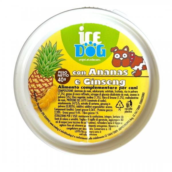 Il Gelato - Ananas e Ginseng - Facile preparazione - 40gr