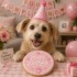Dolci Impronte | Pack of 3 Birthday Round Cake Pink 100 g