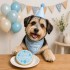 Dolci Impronte |  Birthday Round Cake Azzurra 100 gr