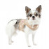 Pinkaholic - Pettorina Gilet regolabile - Sassa Pinka Harness Nara varie taglie e colori