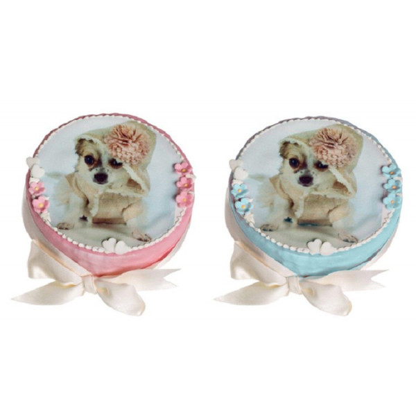 Dolcimpronte - Torta Compleanno Per Cani Personalizzabile 300 GR