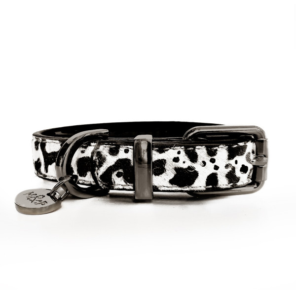 Milk & Pepper - Dalmatian collar -