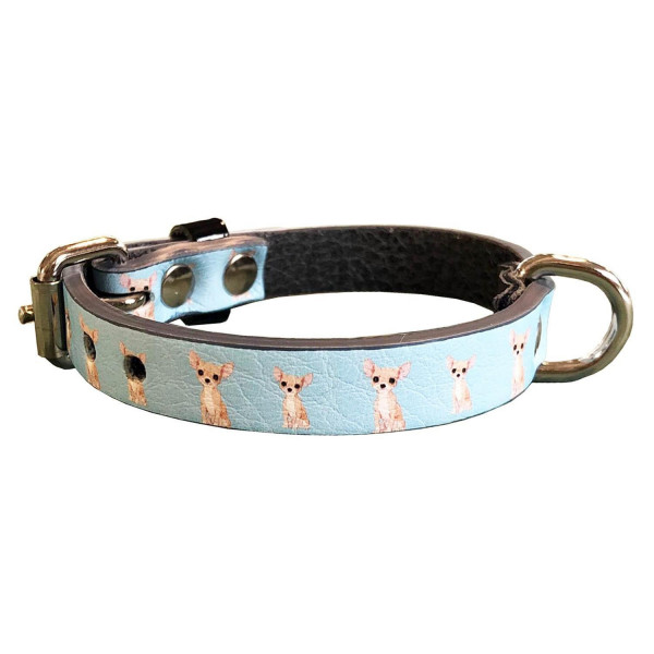 MQ- Light Blue Chihuahua collar