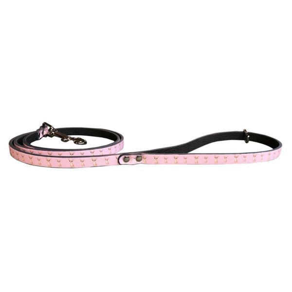 MQ- Pink Leash Chihuahua Print