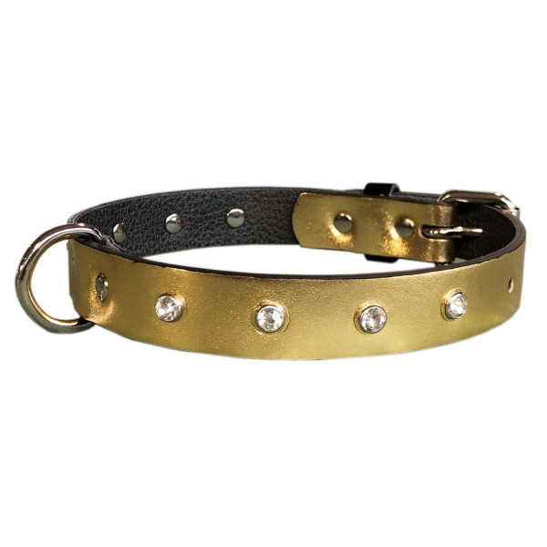 MQ - Gold Laminated Collar with Studs - Eco-leather