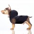 Milk & Pepper - Raincoat Babord - Marine