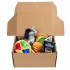 Love Pet Mistery Box Tema Giocattoli