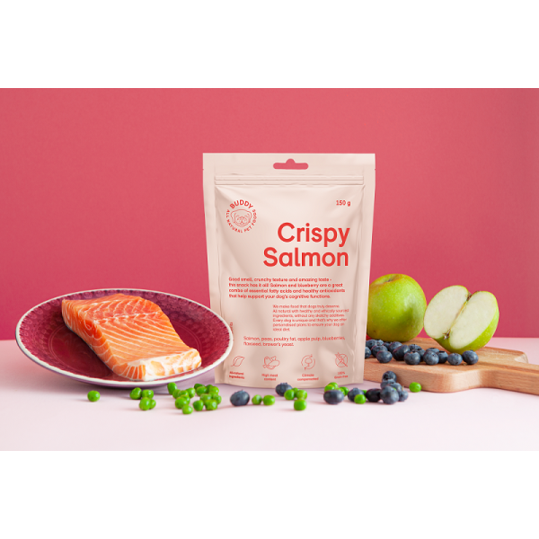 Buddy - Crunchy Snack Salmon with Blueberries 150gr