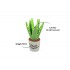 Play - Buddies - Aloe