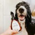 Eye Envy - Tear Stain Facial Cleanser Detergente schiumogeno per Musetto di Cani e Gatti - 250 ml